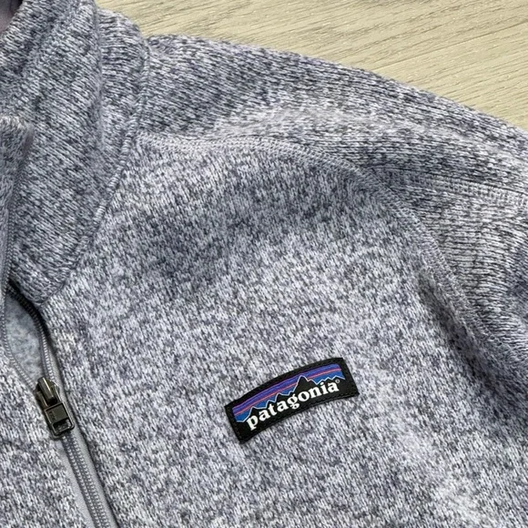 Patagonia Women's Heathered Gray purple Jacket - Picture 2 of 4